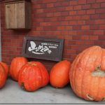 button-only@2x フローリング工事、無事終了！