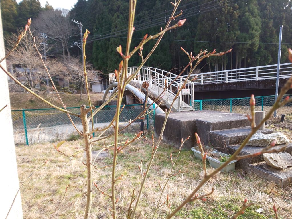  気になる釘（くぎ）のオブジェは…