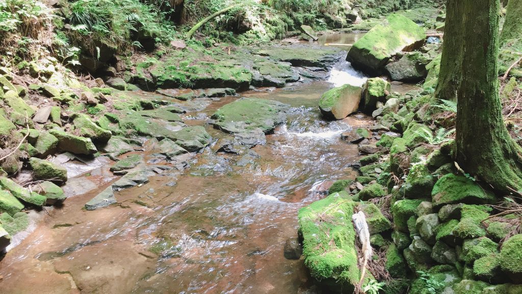 -1024x576 伊賀市「奥青山しぜん満喫ツアー」ご参加ありがとうございました！