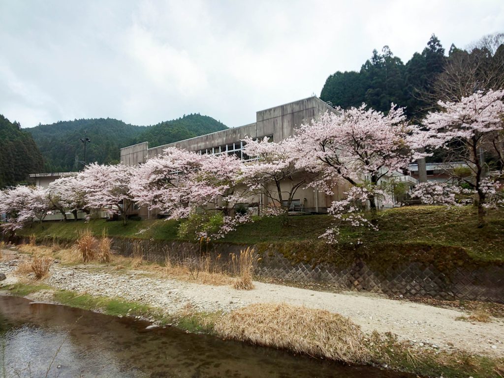 DSC_6133-1024x768 金城 竜之介(きんじょうりゅうのすけ)窯展のお知らせ 4/10(土)・11日 伊賀市